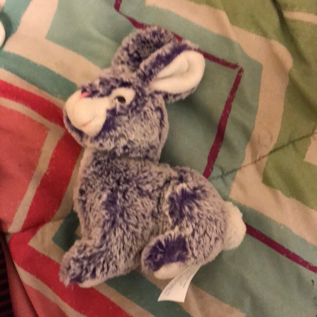 Stuffed Rabbit
